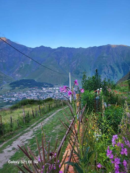Peak House Villa Kazbegi Exteriör bild